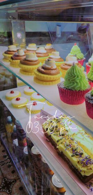 Christmas Selection at Plant Blonde in Glasgow