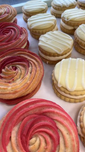   at Plant Blonde in Glasgow