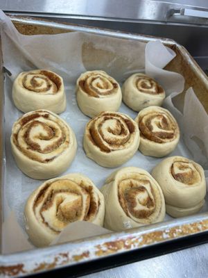   at Plant Blonde in Glasgow