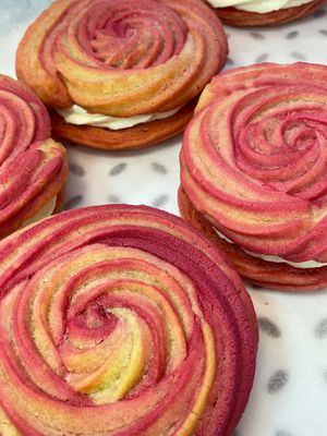   at Plant Blonde in Glasgow