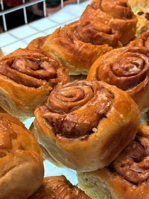   at Plant Blonde in Glasgow