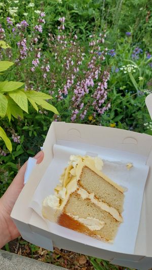 Lemon cake slice at Plant Blonde in Glasgow
