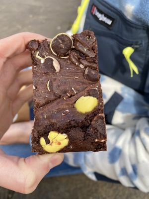   at Plant Blonde in Glasgow