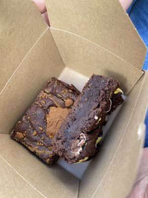   at Plant Blonde in Glasgow