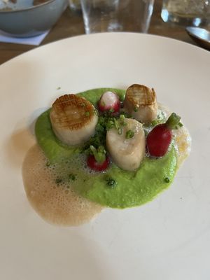 Kräuterseitling Medallions auf Erbsenpüree  at Steinhaus1718 in Budingen