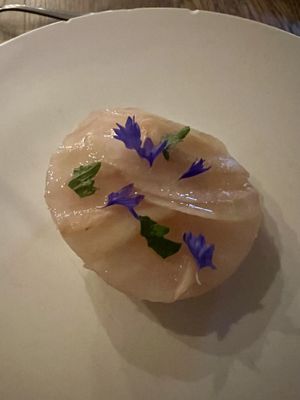   at Steinhaus1718 in Budingen