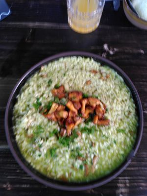  at Steinhaus1718 in Budingen