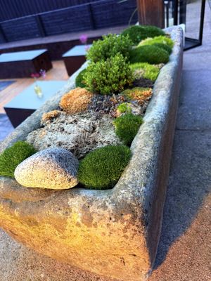   at Steinhaus1718 in Budingen