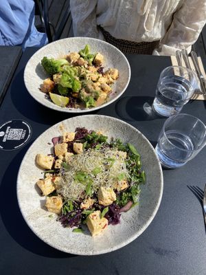 The Trendsetter and Tofu Bowl  at Green Hippo - Töölö in Helsinki
