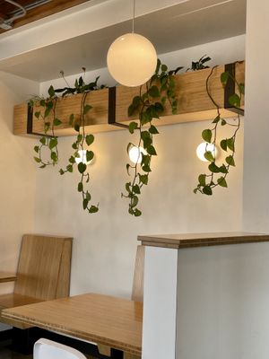 Inside decor   at Plant Power Fast Food in Hollywood