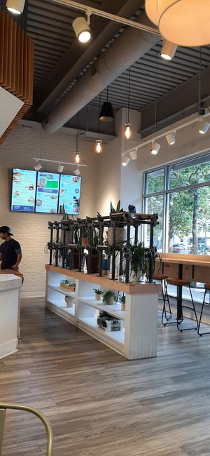  at elephant + vine  in Evanston