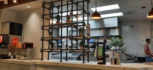  at elephant + vine  in Evanston