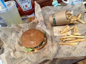   at elephant + vine  in Evanston