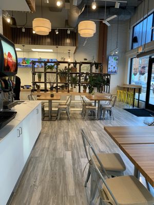   at elephant + vine  in Evanston