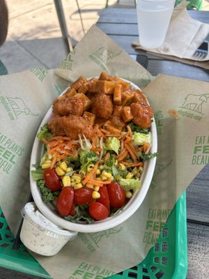 Buffalo Rice Bowl with extra tofu    at elephant + vine  in Evanston