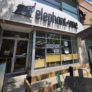  at elephant + vine  in Evanston