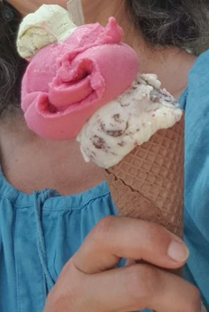 Hibiscus-citron vert et forêt noire at Eisbrunnen - Vegan Ice Cream in Munich