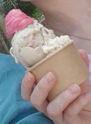Spaghetti-Eis et hibiscus-citron vert at Eisbrunnen - Vegan Ice Cream in Munich