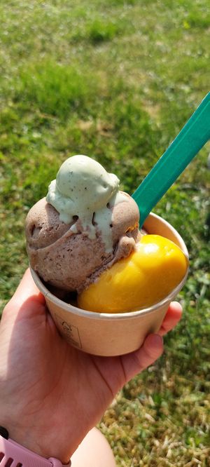  at Eisbrunnen - Vegan Ice Cream in Munich