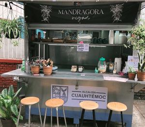 Durango 167 Roma Norte 🌱  at Mandragora Vegan in Mexico City