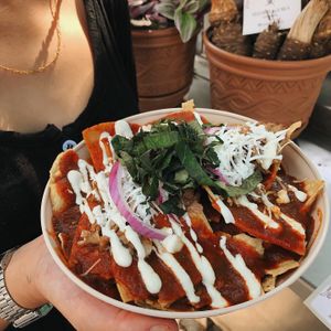 Chilaquiles de pasilla y morita con barbasoya   at Mandragora Vegan in Mexico City