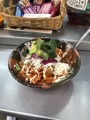   at Mandragora Vegan in Mexico City