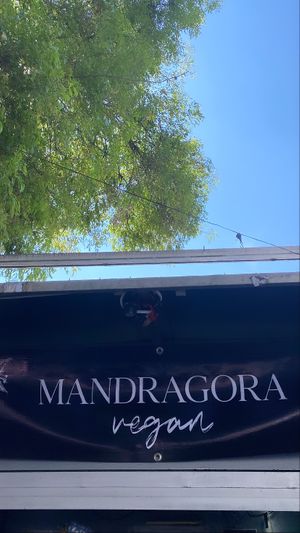   at Mandragora Vegan in Mexico City