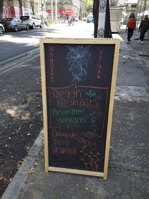Sign at Mandragora Vegan in Mexico City