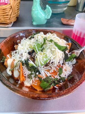   at Mandragora Vegan in Mexico City