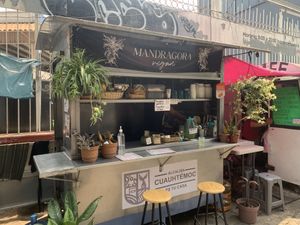 The aesthetics tho 🤍  at Mandragora Vegan in Mexico City