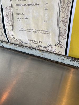   at Mandragora Vegan in Mexico City