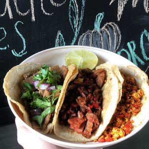 Los tacos están deliciosos! Altamente recomendado el de alambre, milanesa y revuelto y el nuevo horario está genial para ir en la tarde noche por unos taquitos 🌮 🌱  at Mandragora Vegan in Mexico City