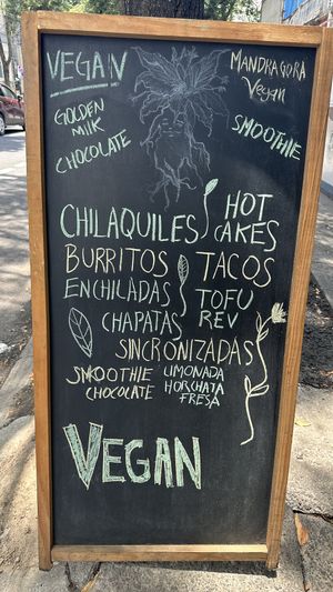 Menu board  at Mandragora Vegan in Mexico City