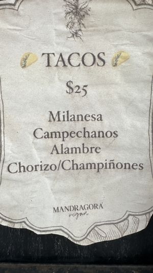 Taco menu  at Mandragora Vegan in Mexico City