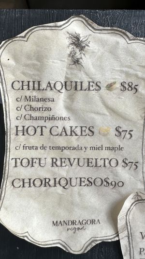 Menu  at Mandragora Vegan in Mexico City