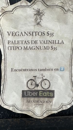 Menu 2  at Mandragora Vegan in Mexico City