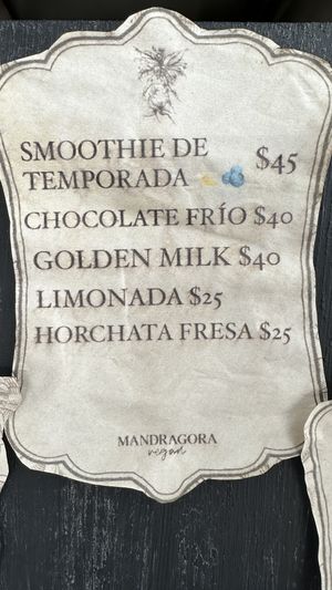 Drinks  at Mandragora Vegan in Mexico City