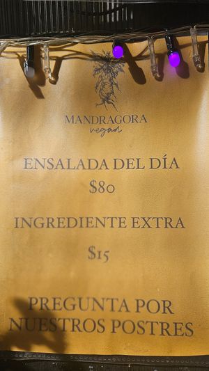  at Mandragora Vegan in Mexico City