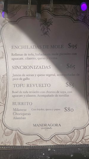  at Mandragora Vegan in Mexico City