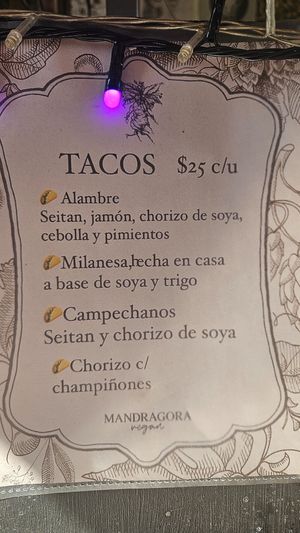  at Mandragora Vegan in Mexico City