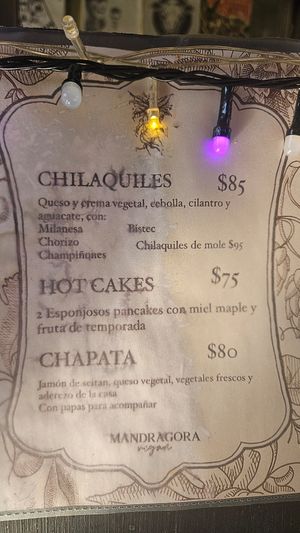  at Mandragora Vegan in Mexico City