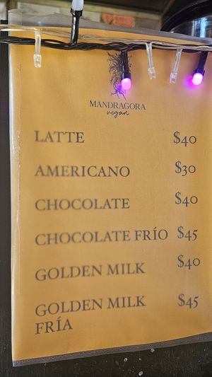  at Mandragora Vegan in Mexico City