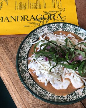 Enfrijoladas  #Veganuary at Mandragora Vegan in Mexico City