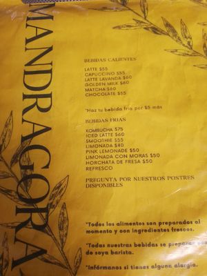 Menú 4/2024 at Mandragora Vegan in Mexico City