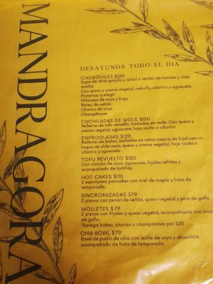 4/2024 at Mandragora Vegan in Mexico City