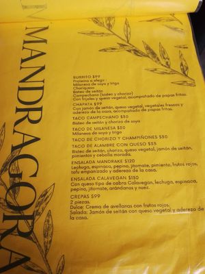 4/2024 at Mandragora Vegan in Mexico City