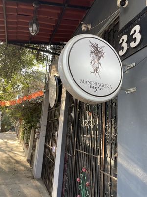   at Mandragora Vegan in Mexico City