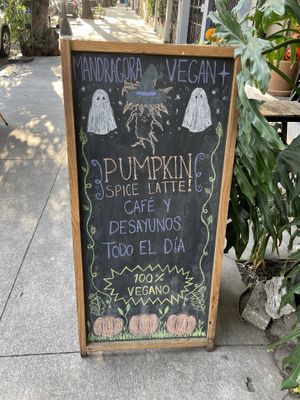   at Mandragora Vegan in Mexico City