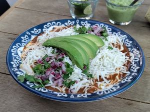 Enchiladas con mole at Mandragora Vegan in Mexico City