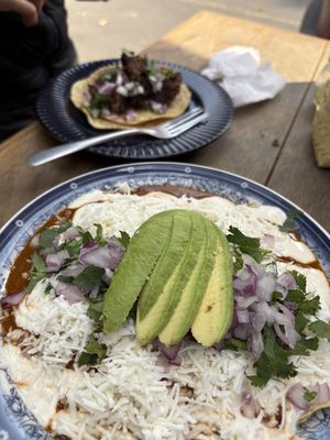Enchiladas y tacos   at Mandragora Vegan in Mexico City